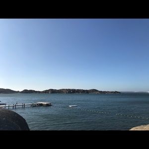 Meet your Posher, Robynn